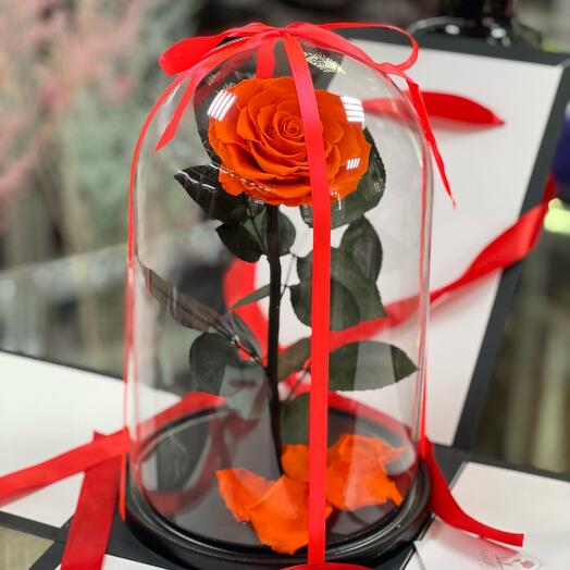 Orange Rose in a VIP flask in a gift box with Wow effect / 29 cm