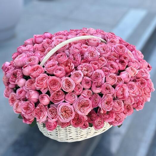 Букет из розовых пионовидных роз 151 шт в корзине