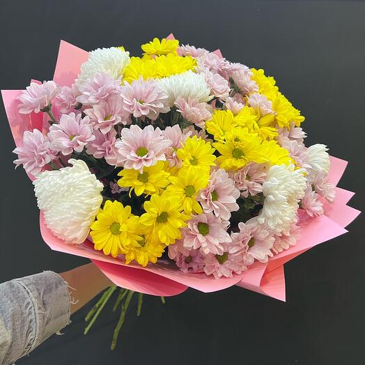 Chrysanthemum mix