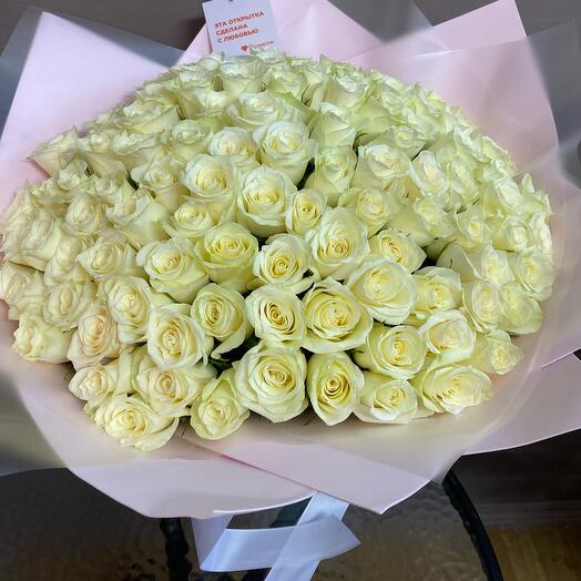 Роза Кения белая 101 шт