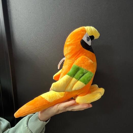Попугай