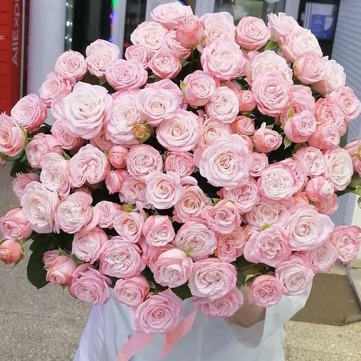 rosas arbustivas XX l