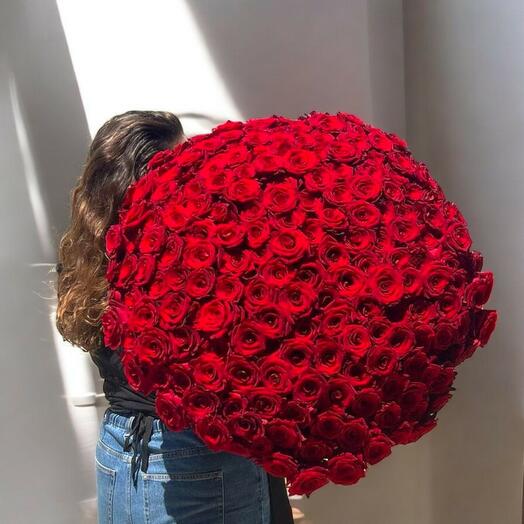 Ramo gigante de 201 rosas rojas ecuatorianas