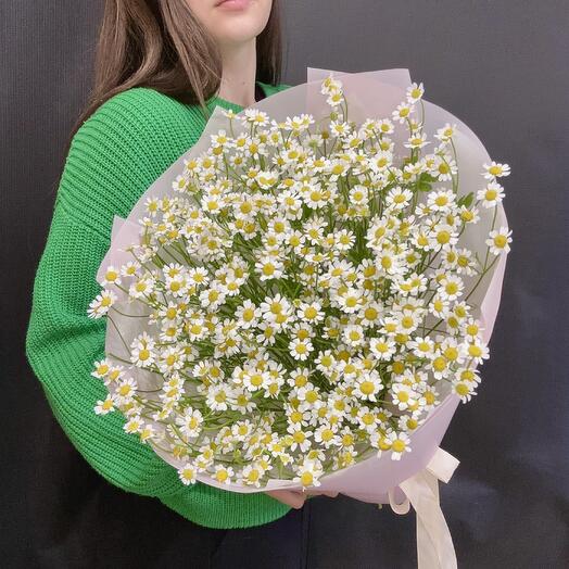 Моно из ромашек 🌼