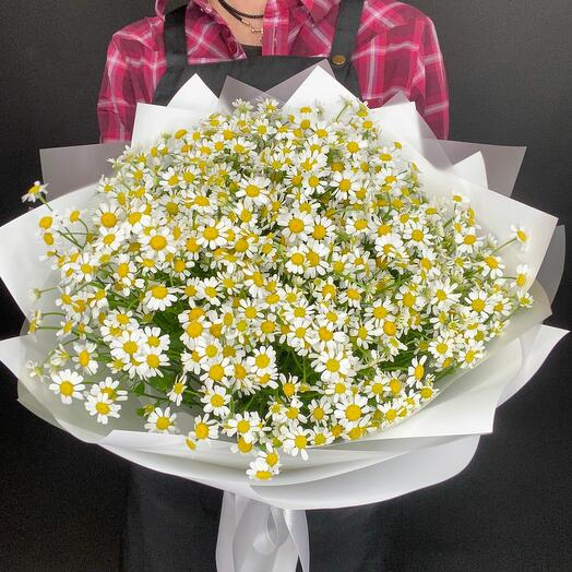 Букет ромашек