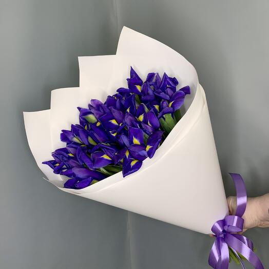 Ирисы 19