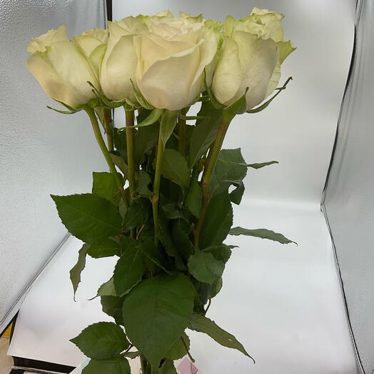 White rose bunch