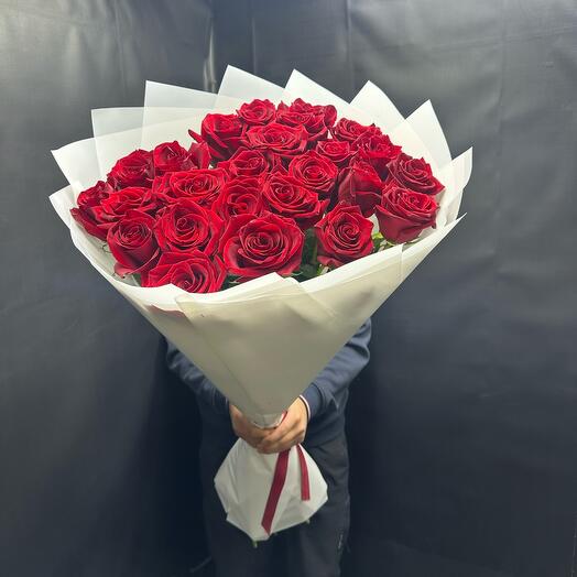 29 Rose