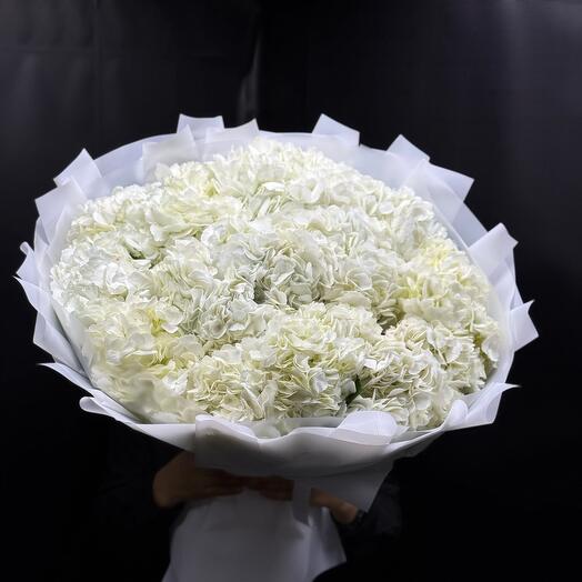 101 Roses