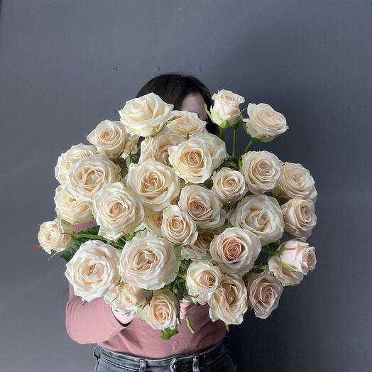Creamy peach bush rose
