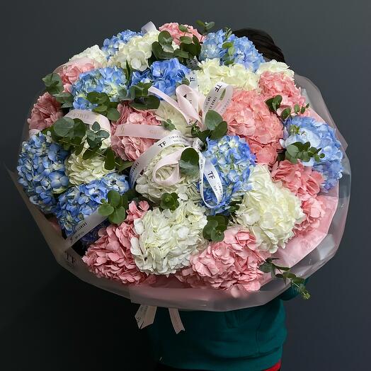 Объемный букет Голландских Гортензий