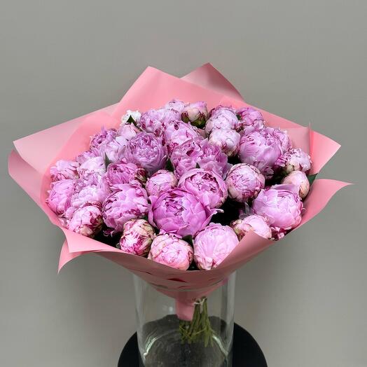 35 пионов Сара Бернар 💗💗💗