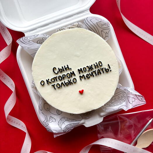 Pastel de cumpleaños Bento para hijo, yerno, nieto, novio, niño, niño