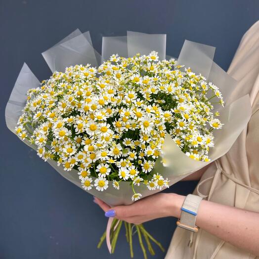 Ромашка «Камилла»