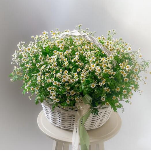 Корзина с ромашками
