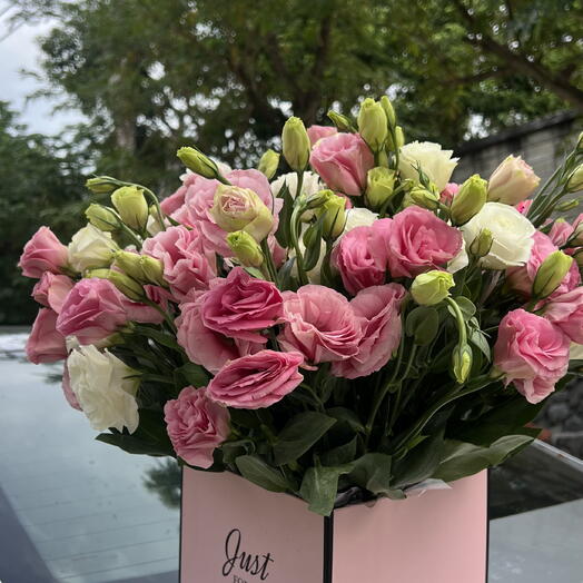 Box of assorted eustoma