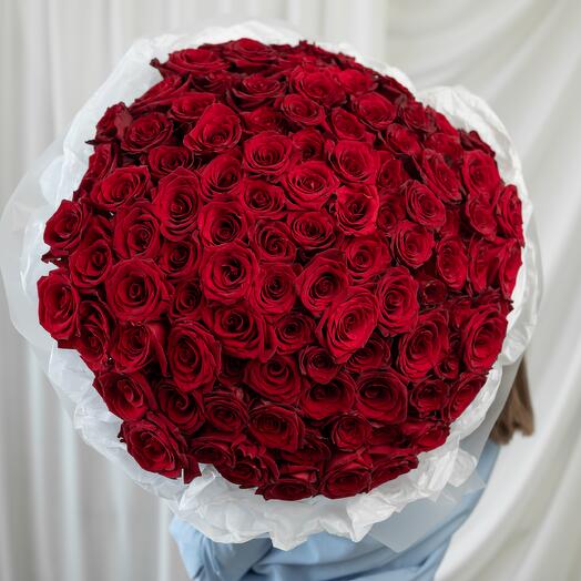 101 красная роза ПРЕМИУМ Charlotte