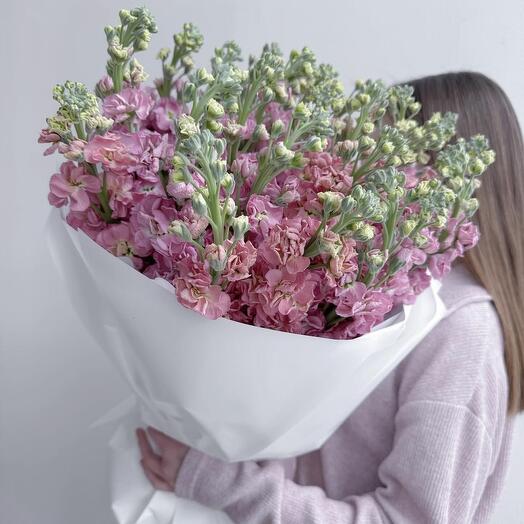 Яркая Матиолла