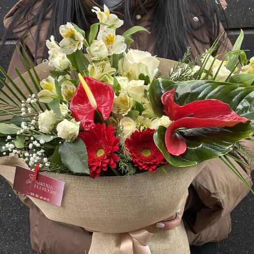 Tropic Anthurium compose