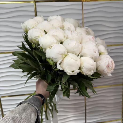 VIP Pion Premium
