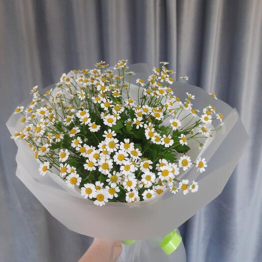 Букет ромашек