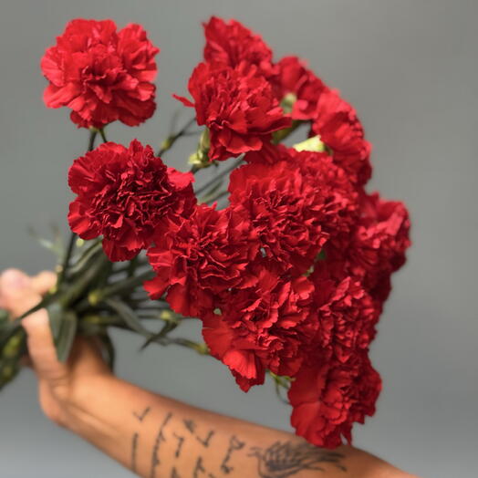 Букет из гвоздики Красной 16 штук  (траурный)