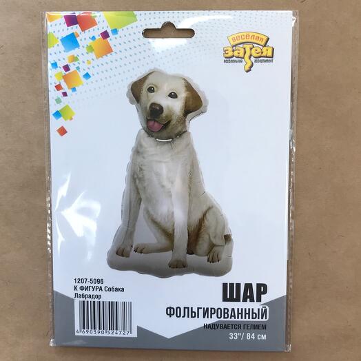 Гелиевая фольгированная фигура собака Лабрадор