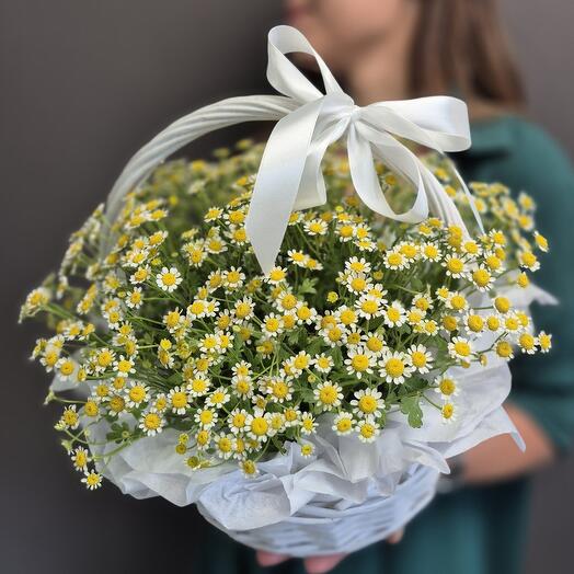 Корзина ромашек S