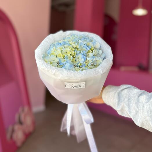 Голубая гортензия