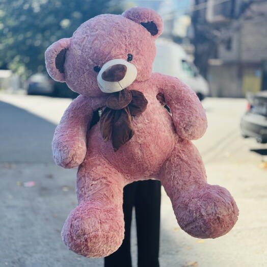 Teddy bear 🧸
