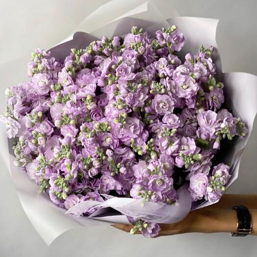 Букет Ароматная маттиола 💞