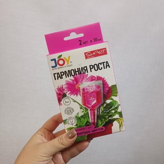 Гармония роста для комнатных растений