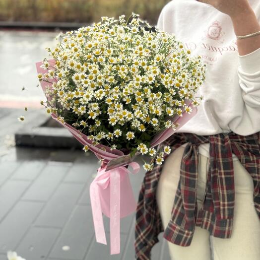 Нежное облако ромашек🤍Букет из Кустовой ромашки🌸Дофаминовый Букет🤍