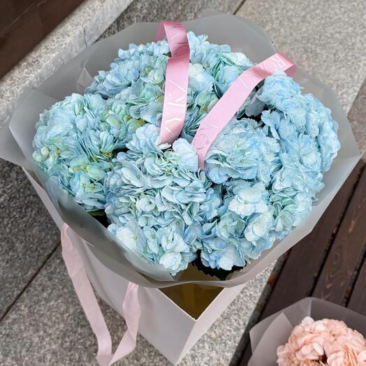 Букет из 7 голубых гортензий в переноске