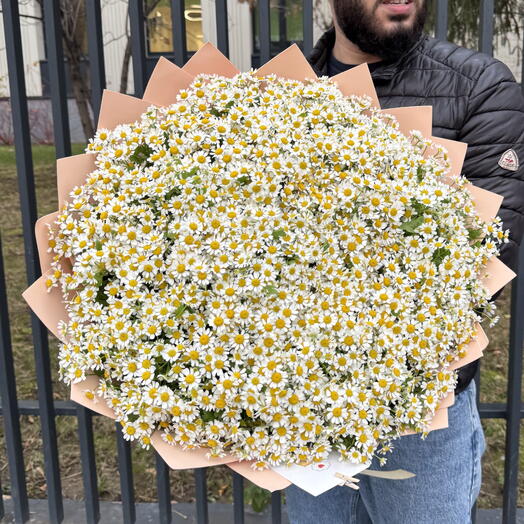 Огромный букет из ромашек