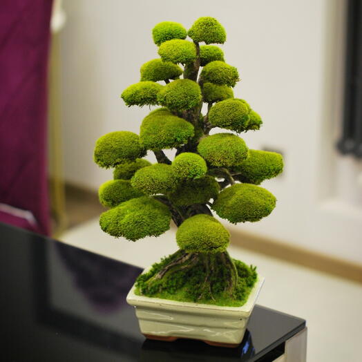 Фантазийный бонсай ручной работы