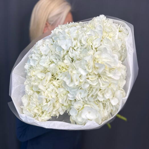 Пять белых гортензий