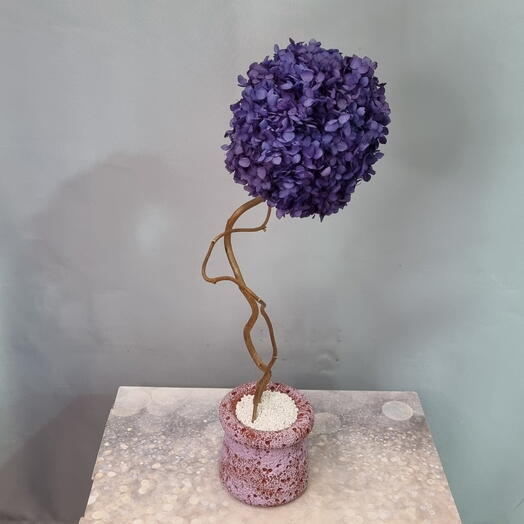 Топиарий из стабилизированной гортензии Индиго