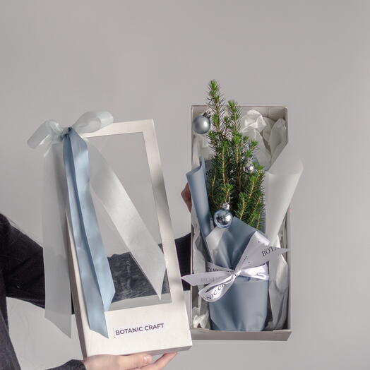 Живая мини-ёлочка, шарики, гирлянда, открытка (набор)