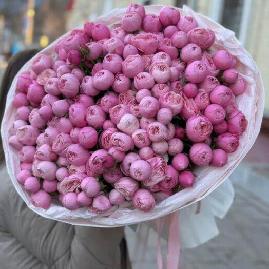 Кустовые  пионовидные розы Сильва Пинк