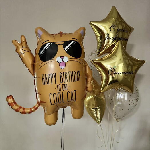 Шары для мальчика/ шары для сына/ шары для внука/ шары для мужчины/ шар кот - Крутой кот