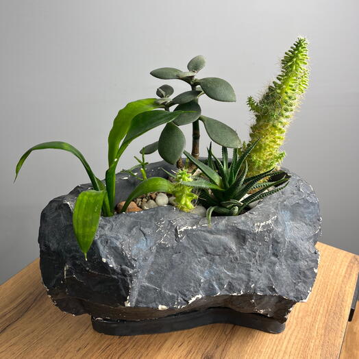 Кактусница в стиле лофт