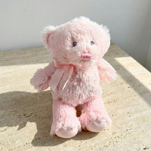 Tina Pink Plush Teddy Bear – Gift for Baby, Newborn and Birthday