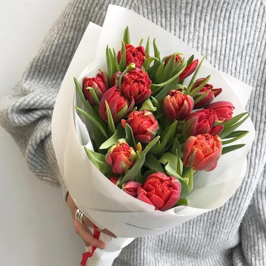 Красные Тюльпаны 🌷