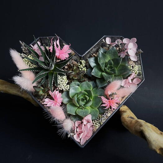 Флорариум с теневыносливыми суккулентами «Сердечко» на 8 марта