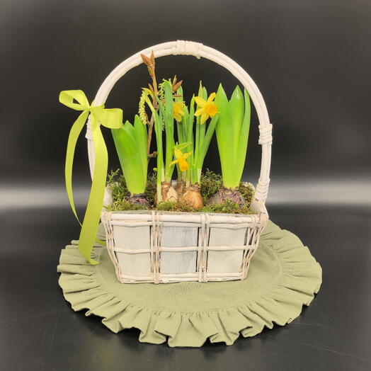 Гиацинты и нарциссы в корзине с бантом