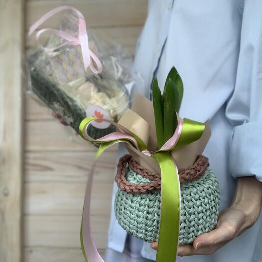 Цветущий гиацинт и зефир на 8 марта