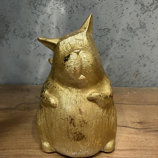 Котик золотой