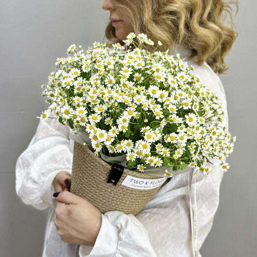 Ромашка в корзине