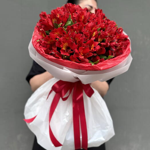 Яркая Альстромерия